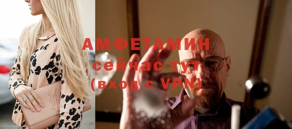твердый Абаза