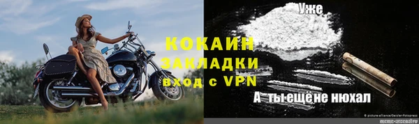 твердый Абаза