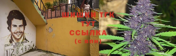 твердый Абаза