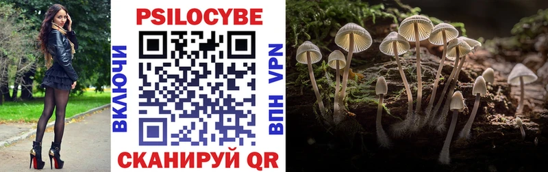 Псилоцибиновые грибы Psilocybine cubensis  Братск 